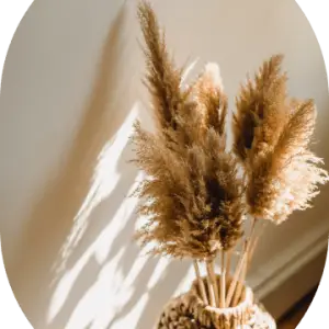 Parlor Palm